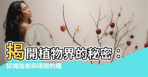 陽樹種類|陰樹陽樹大比拼